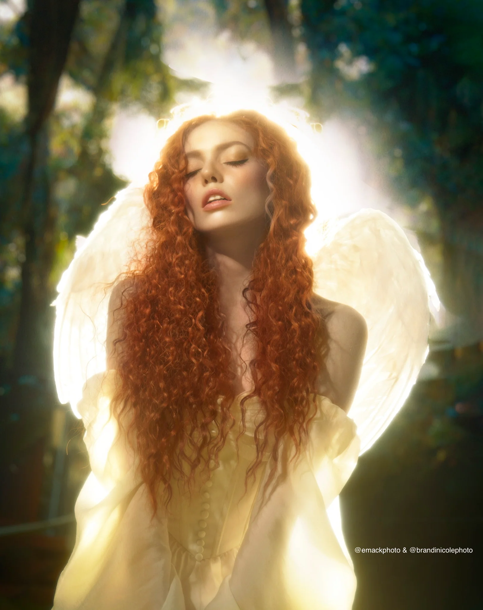 Camellia Dress - Image 3