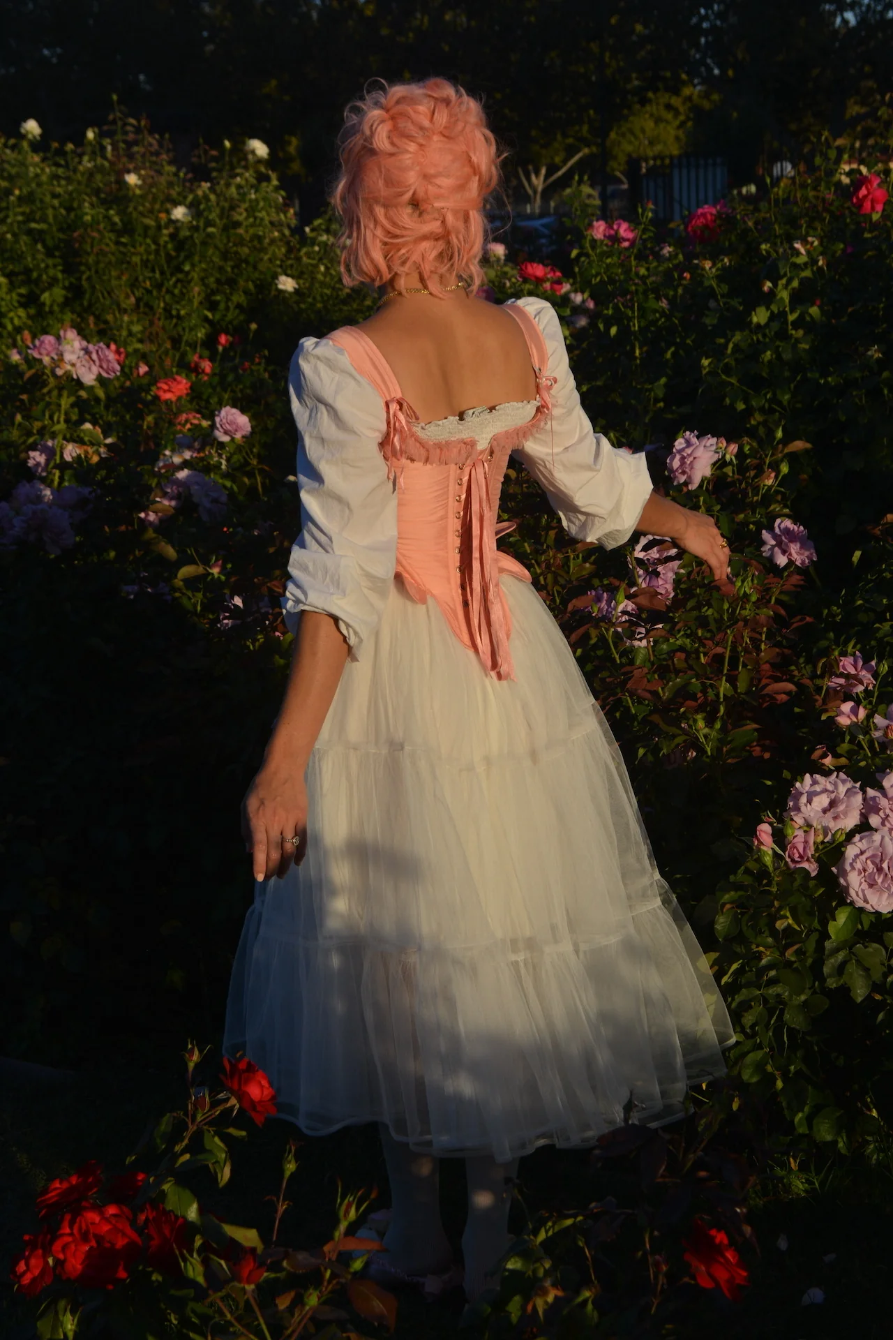 Fragonard Corset - Image 14