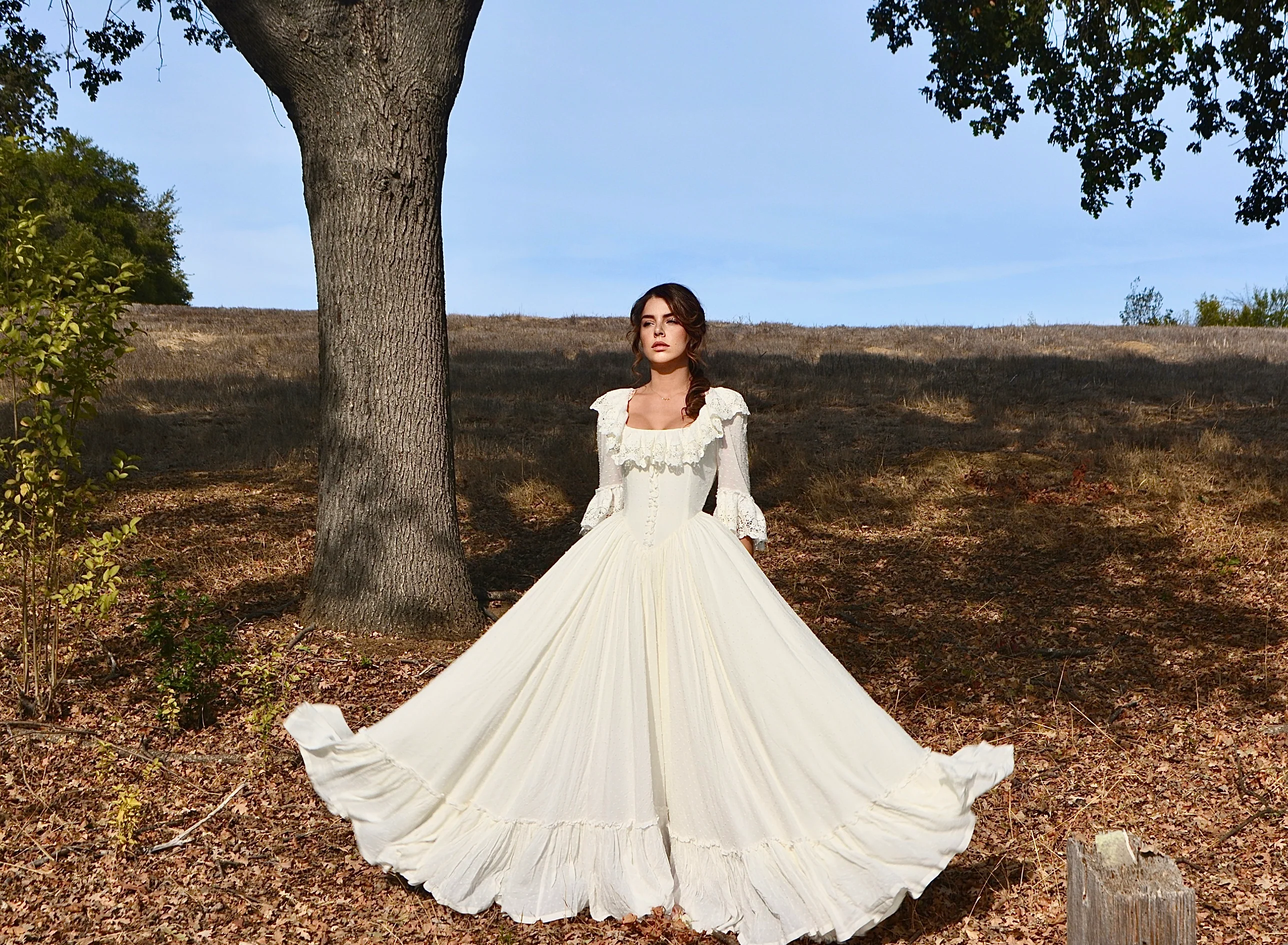 Le Petit Trianon Dress - Image 15