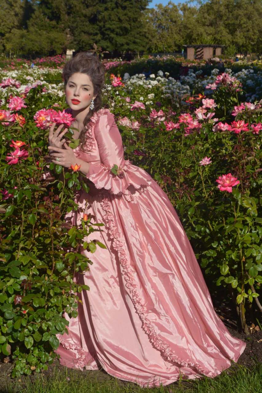 Marie Antoinette gown - Image 14