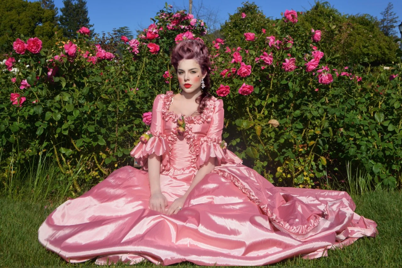Marie Antoinette gown - Image 22