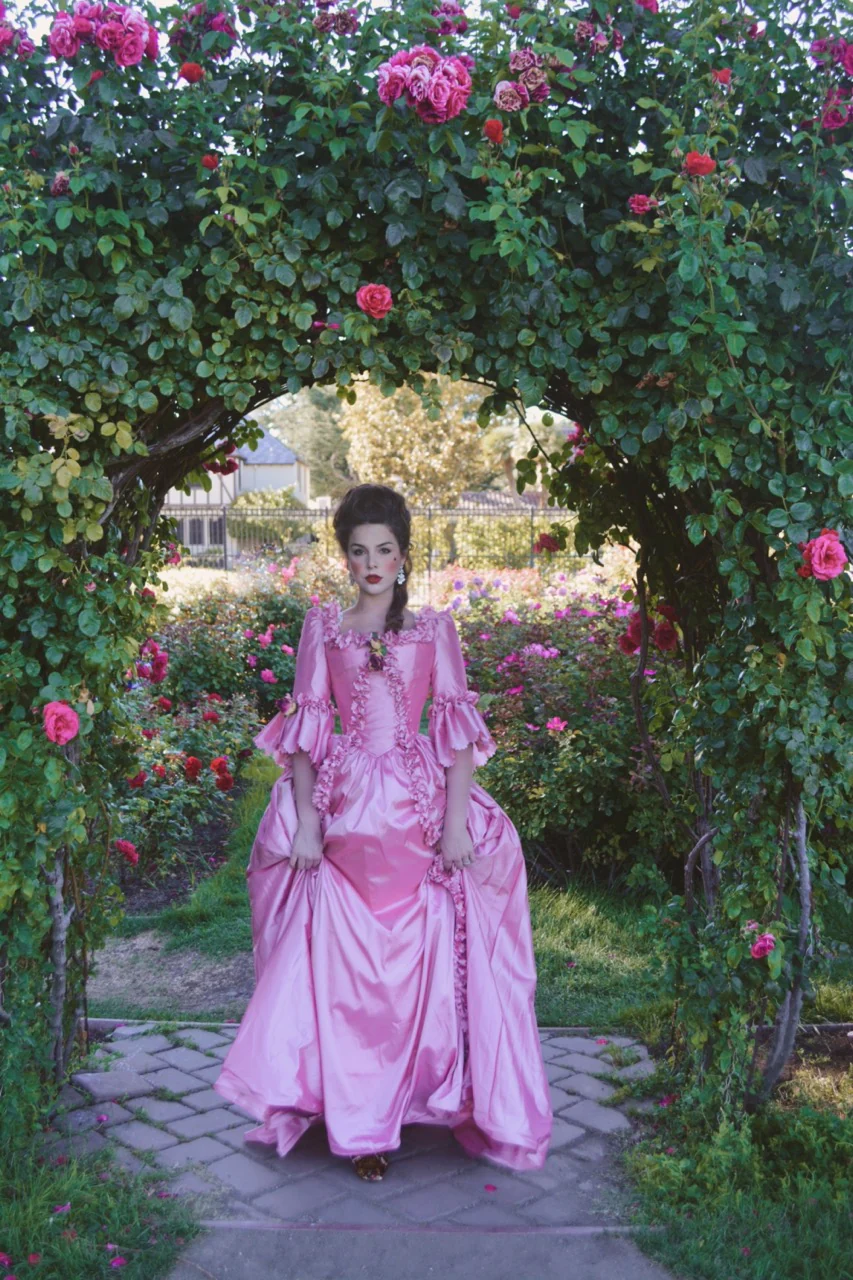 Marie Antoinette gown - Image 27