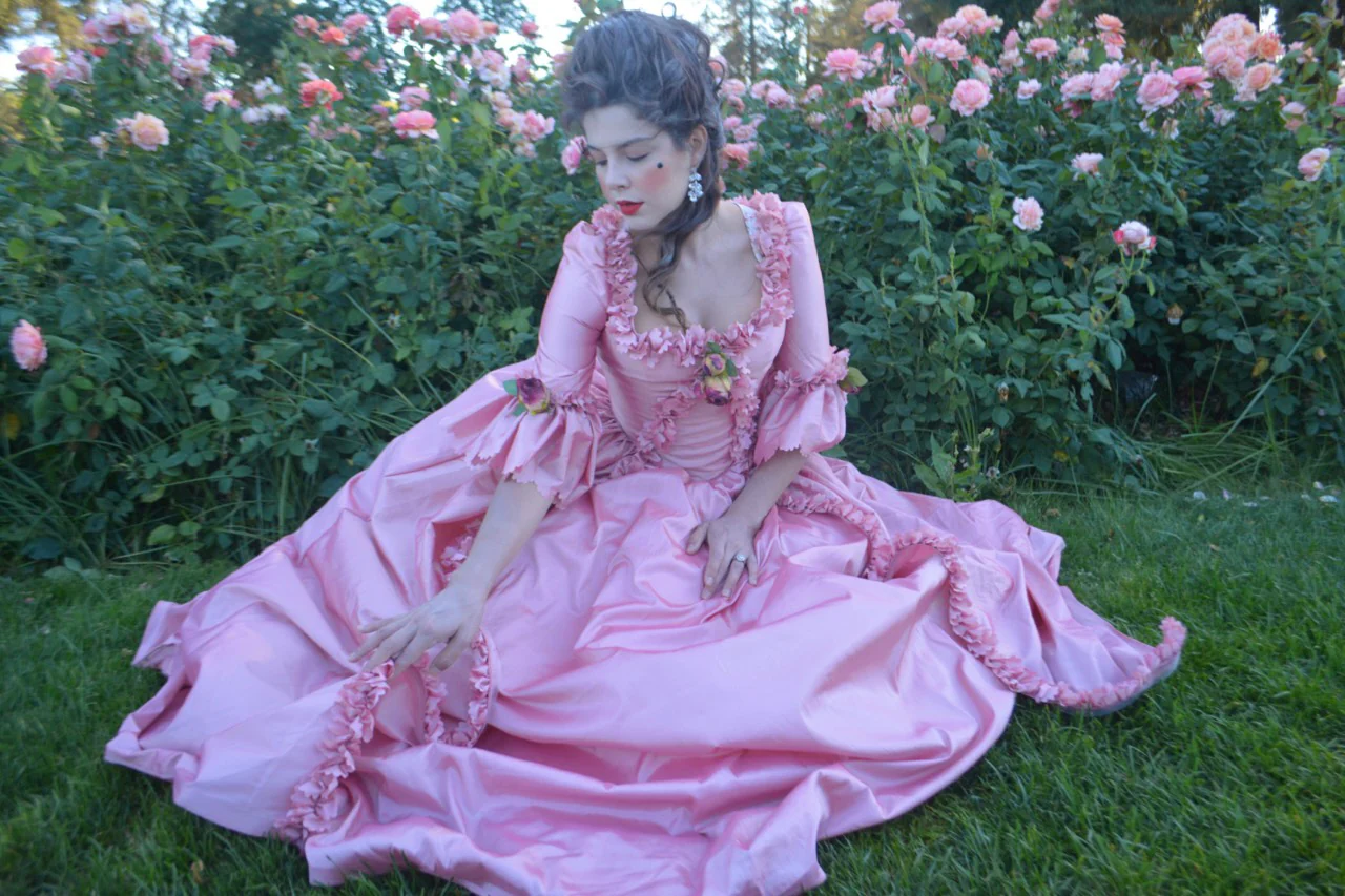 Marie Antoinette gown - Image 28