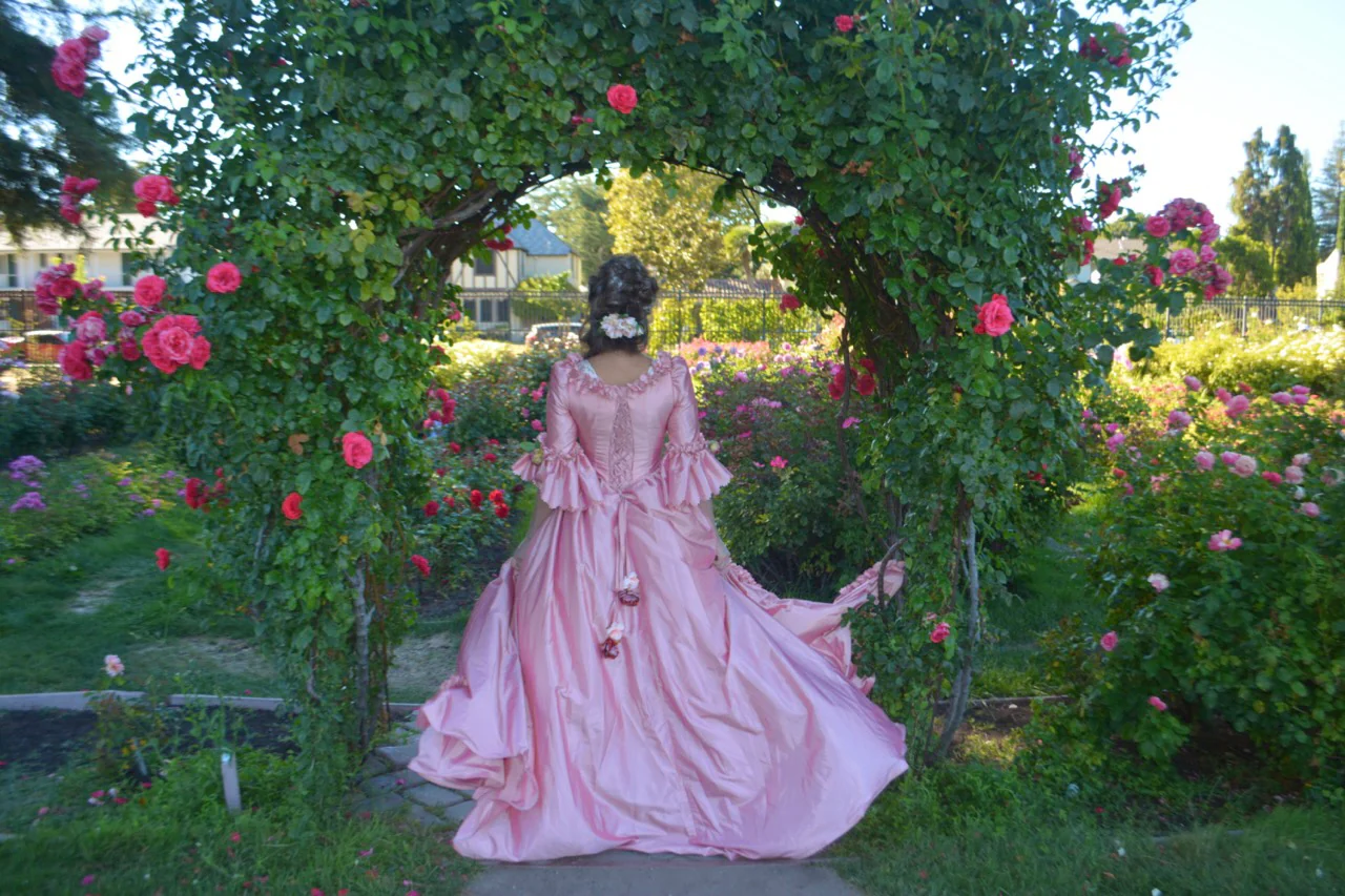 Marie Antoinette gown - Image 30