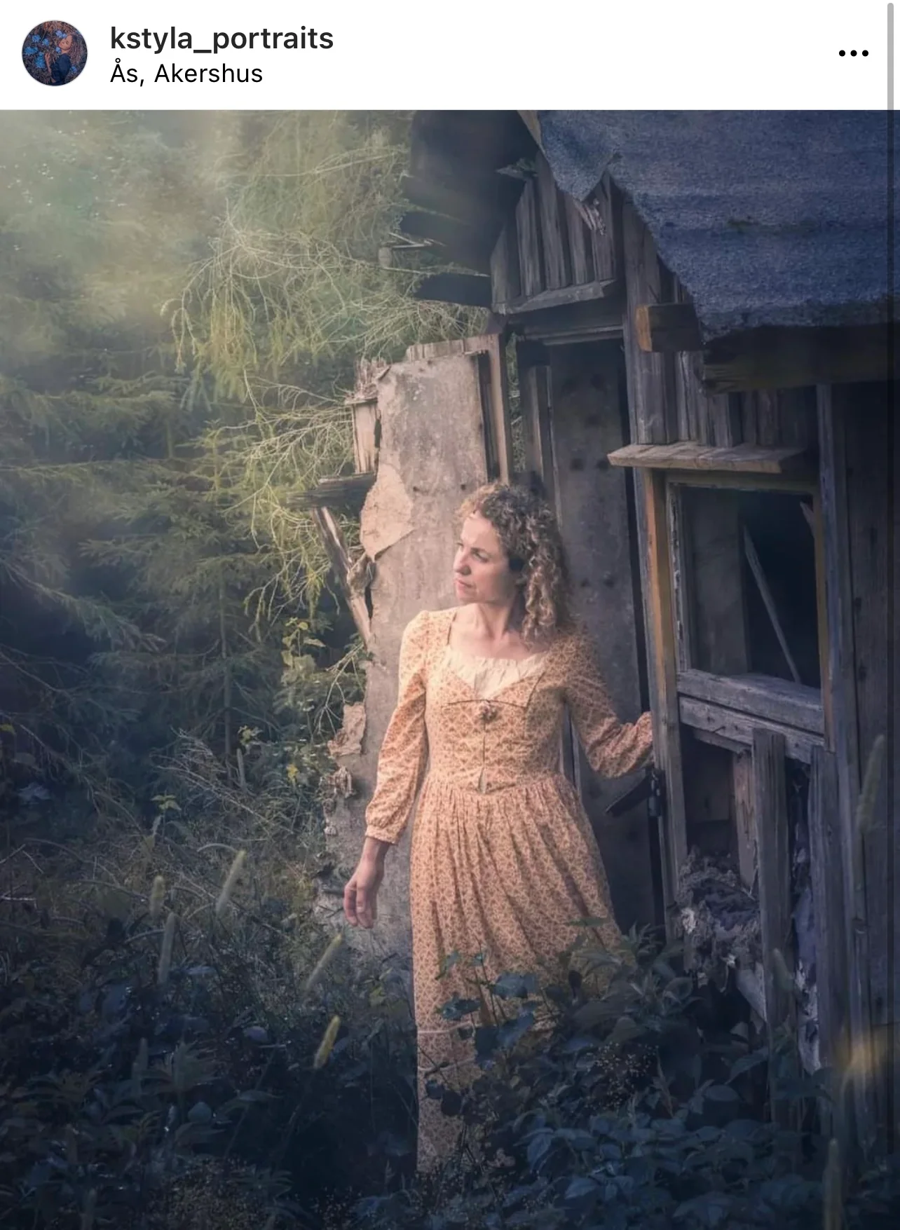 Morwenna dress - Image 4