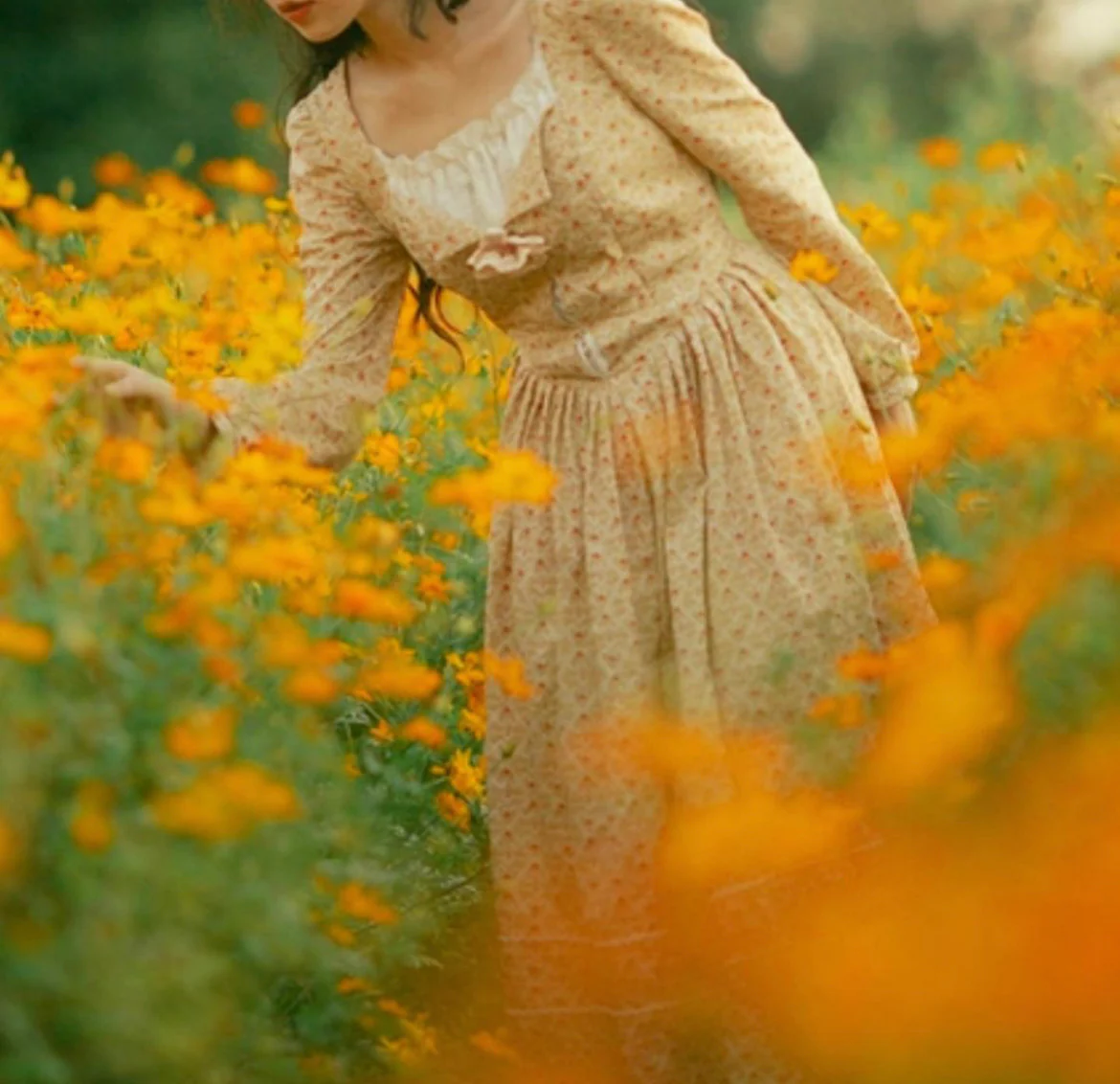 Morwenna dress - Image 6