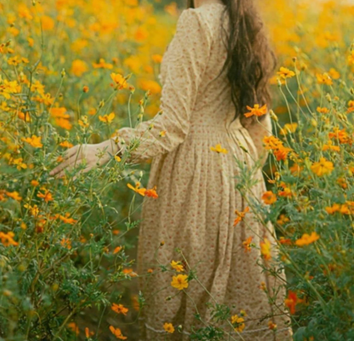 Morwenna dress - Image 7