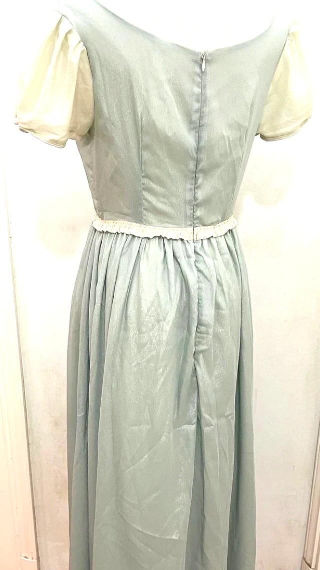 princess and the frog dress - Image 3