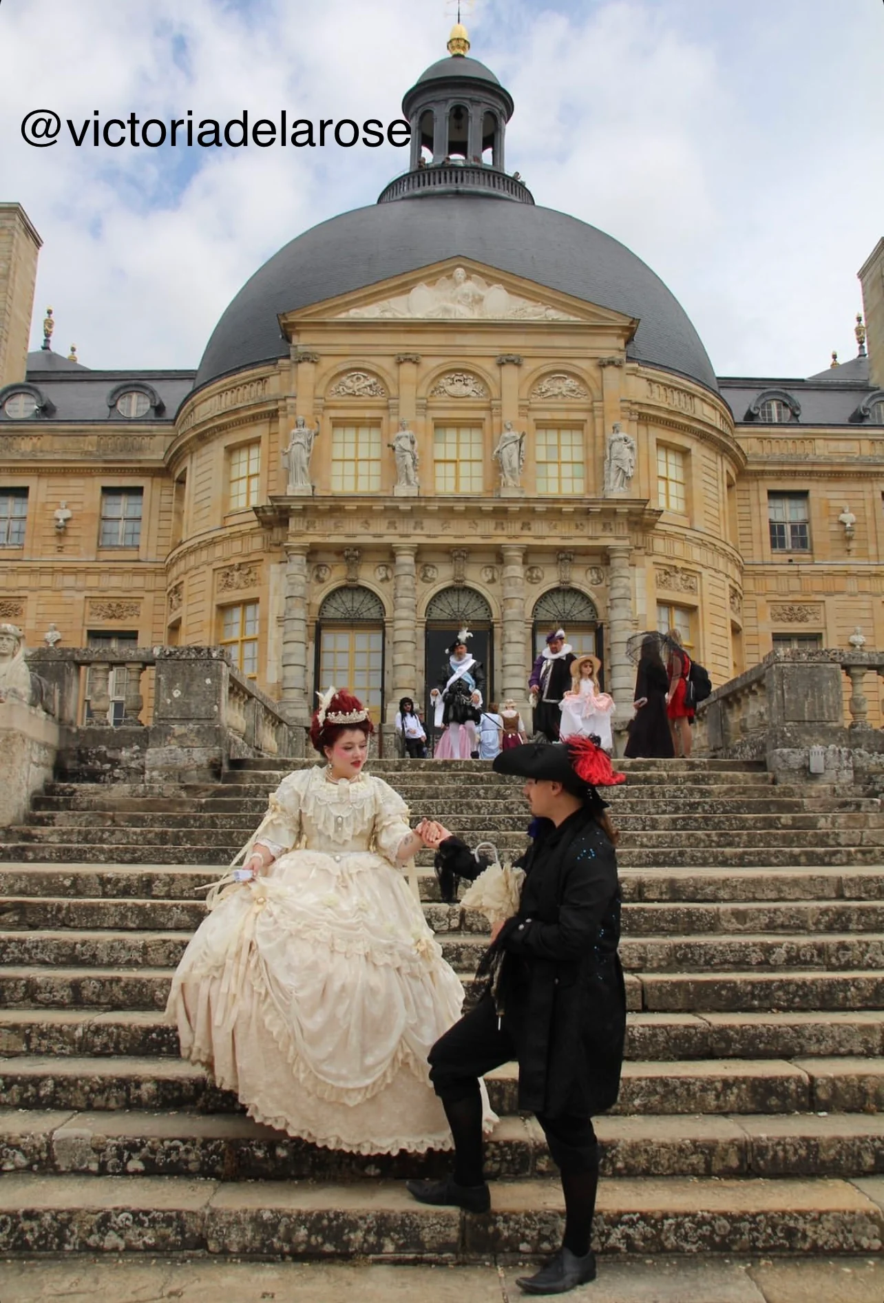 Princess diary gown - Image 3