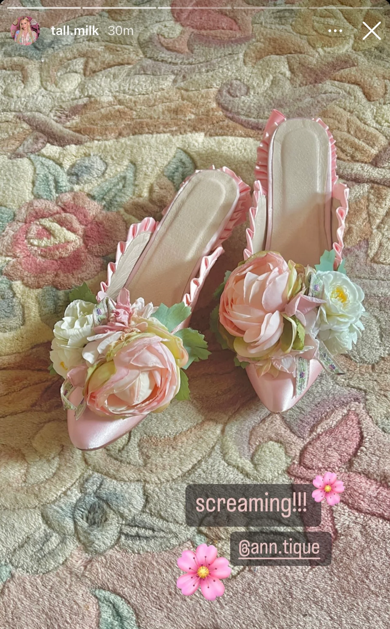 Rococo Revival Chausssures - Image 4