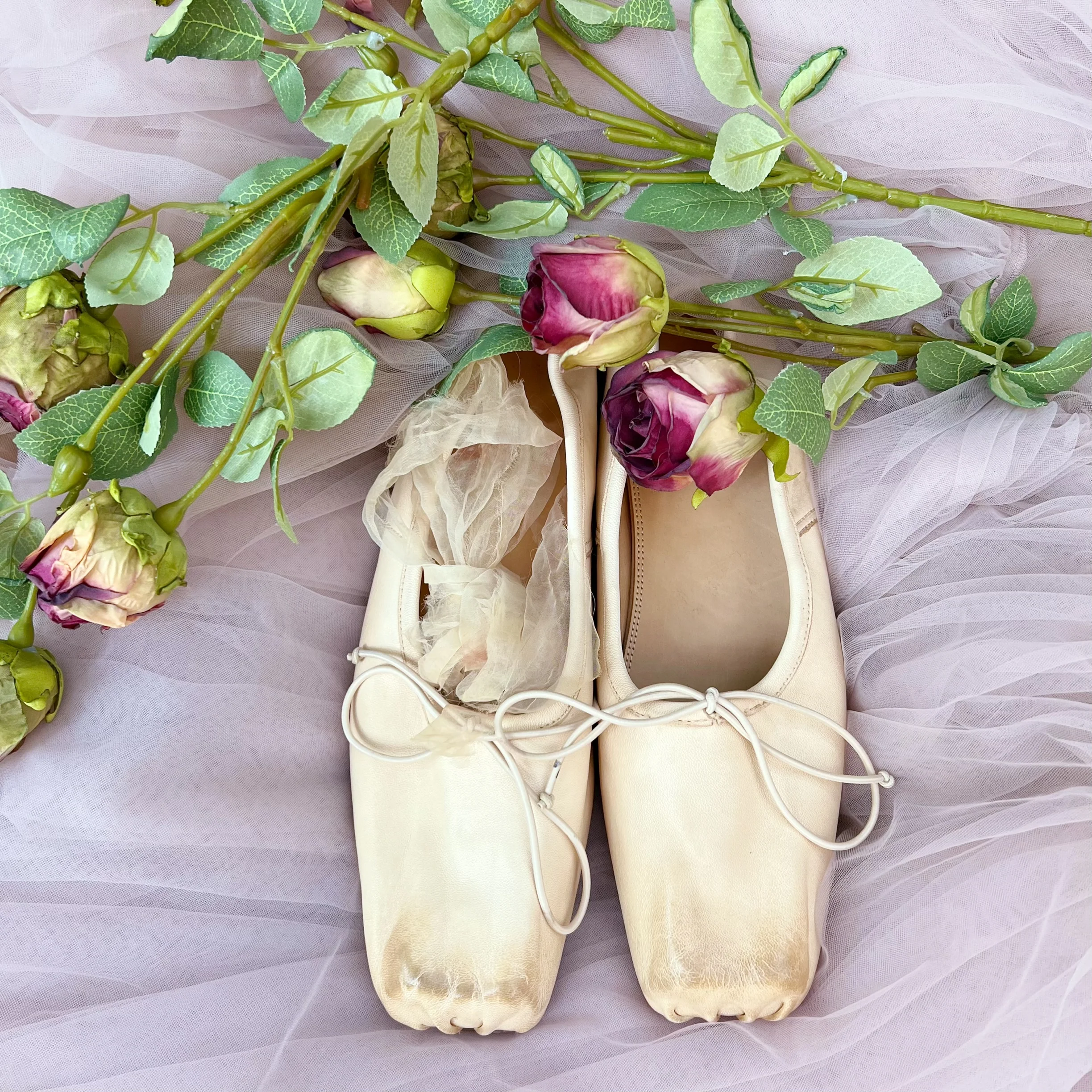 Tattered Love Ballet Shoes - Image 7