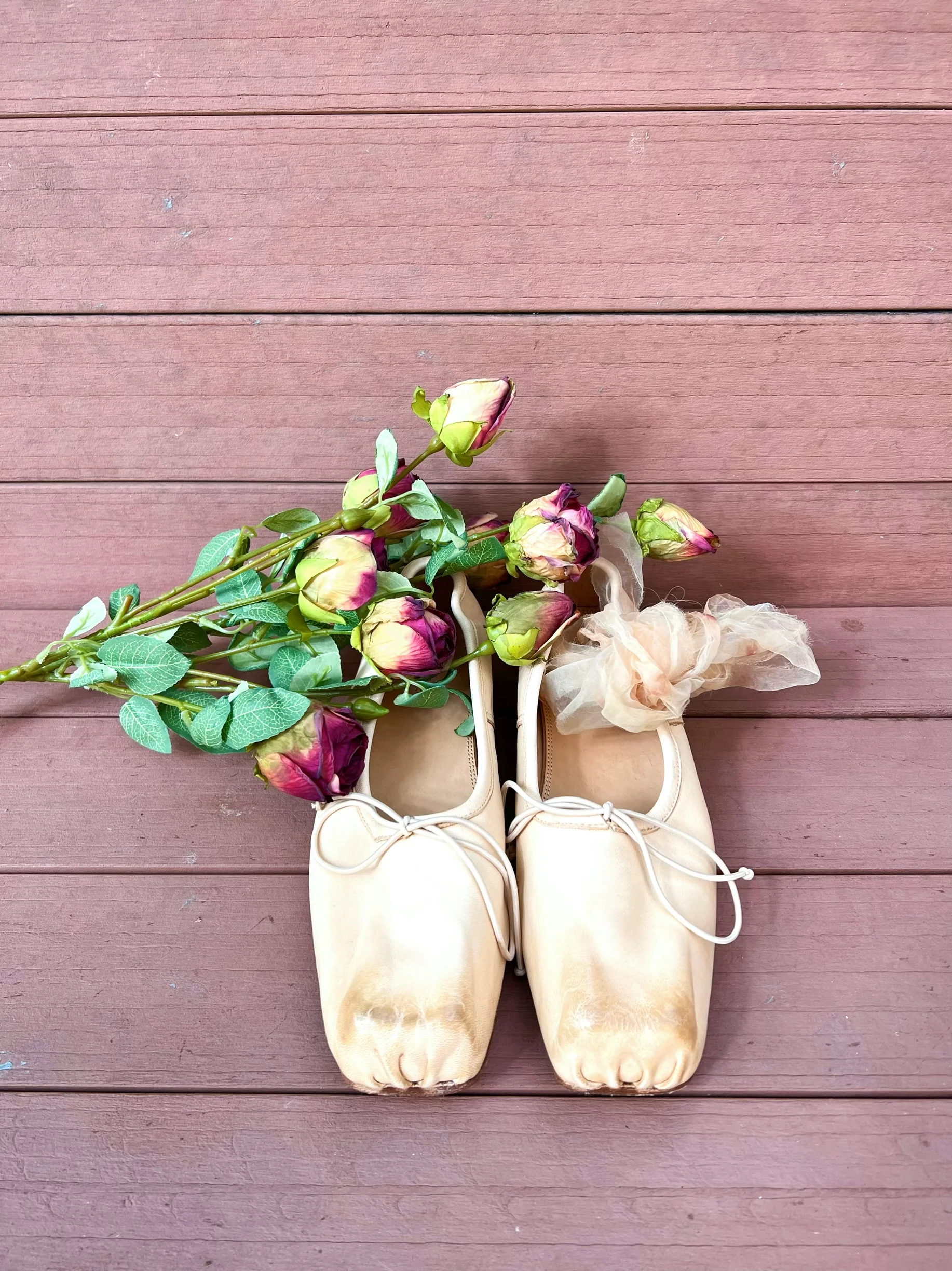 Tattered Love Ballet Shoes - Image 8